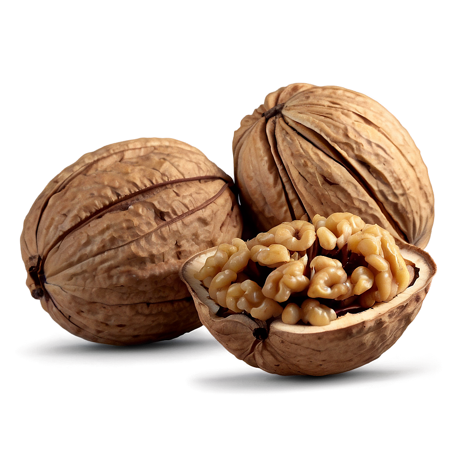 Sweet Walnut Png 96