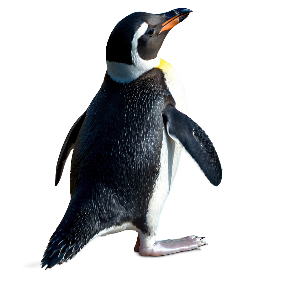 Swimming Penguin Png 43