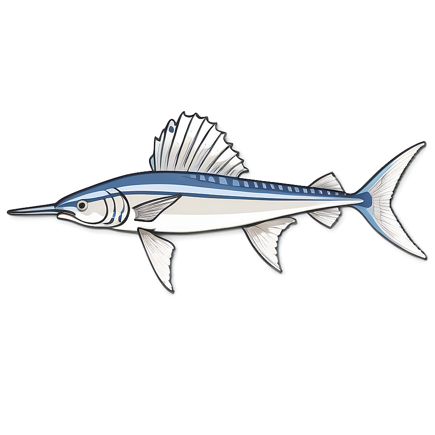 Swordfish Anatomy Diagram Png 06252024