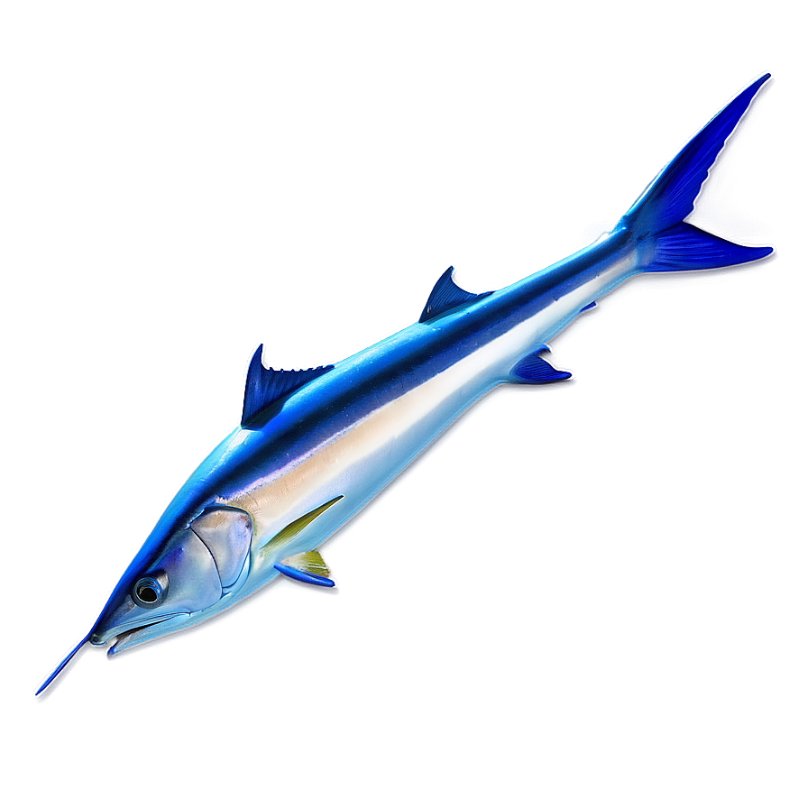 Swordfish Side Profile Png 54