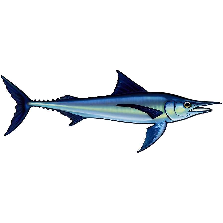 Swordfish Species Identification Png Acc