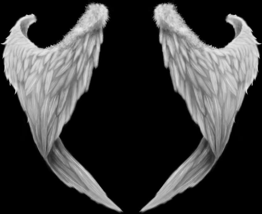 Symmetrical Angel Wingson Black Background