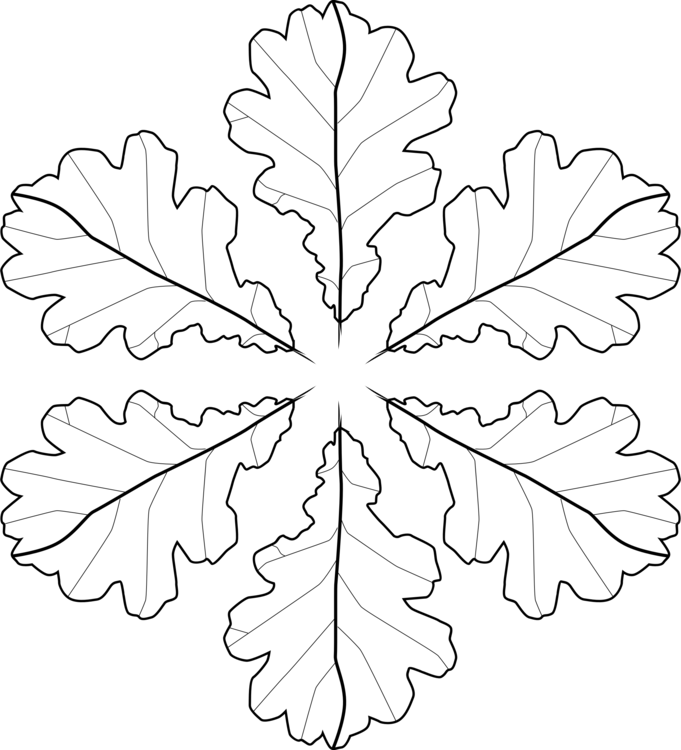 Symmetrical Oak Leaves Pattern