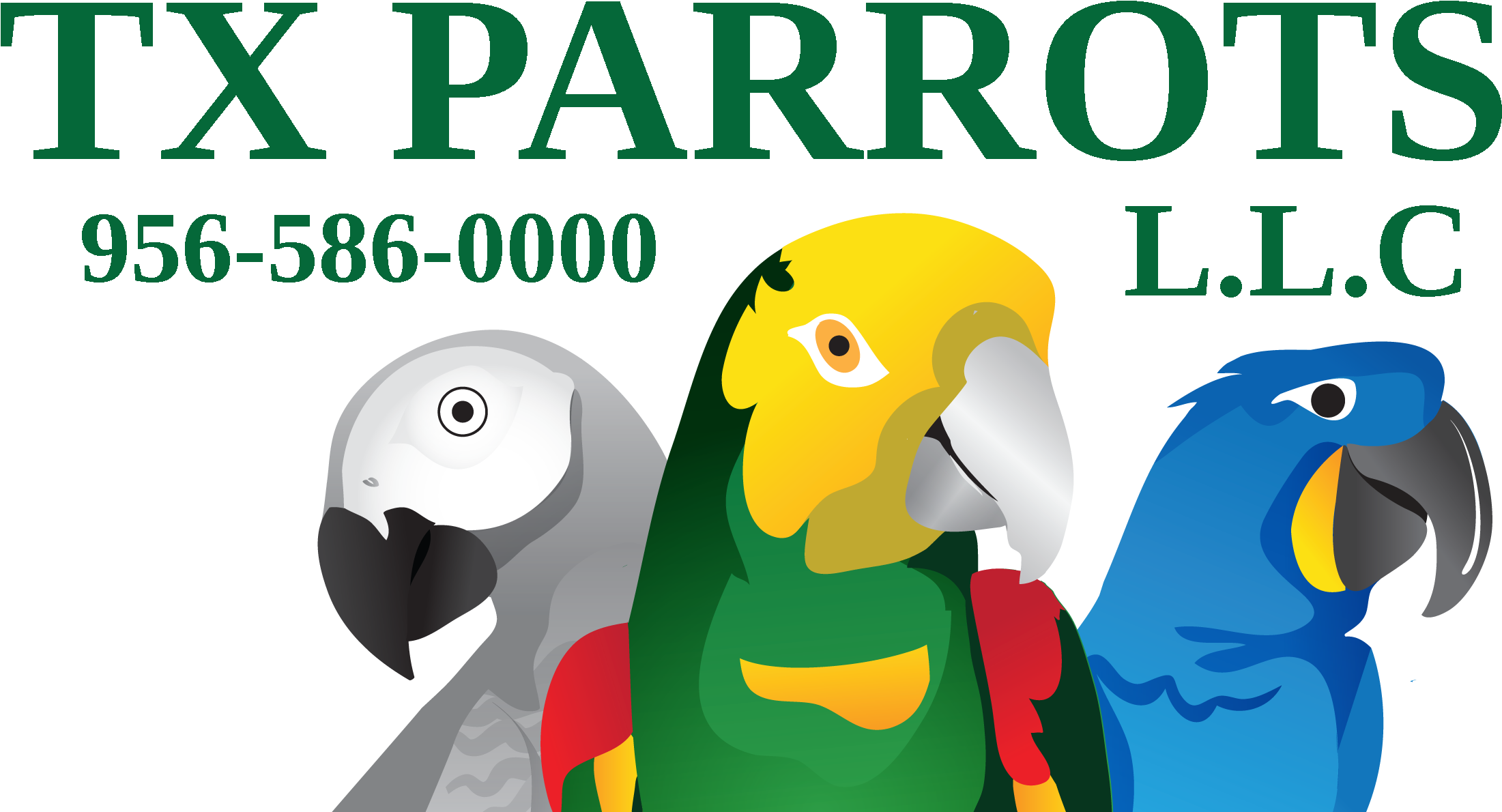 T X Parrots Logo Graphic