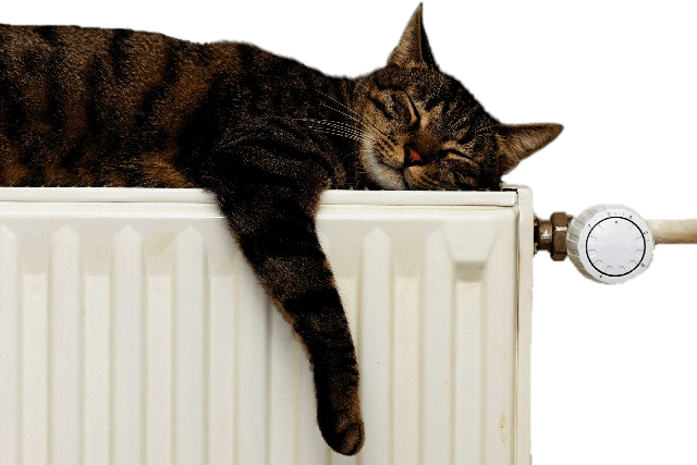 Tabby Cat Relaxingon Radiator