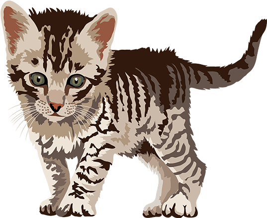 Tabby Kitten Illustration.png