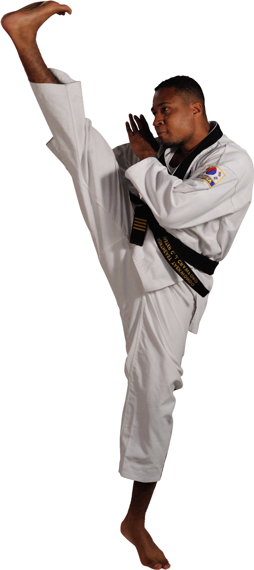 Taekwondo Black Belt High Kick