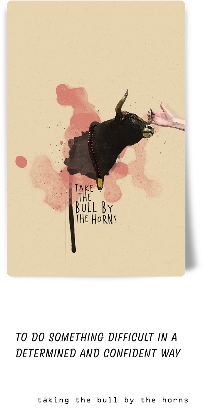 Take The Bull By The Horns Notebook Cover