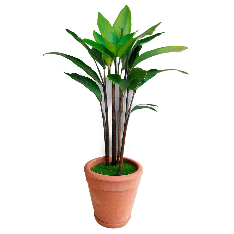 Tall Floor Plant Png Xyu35