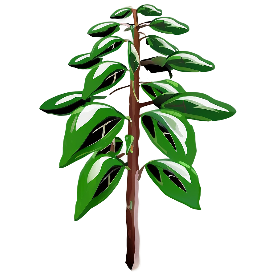 Tall Plant Clipart Png Ihs