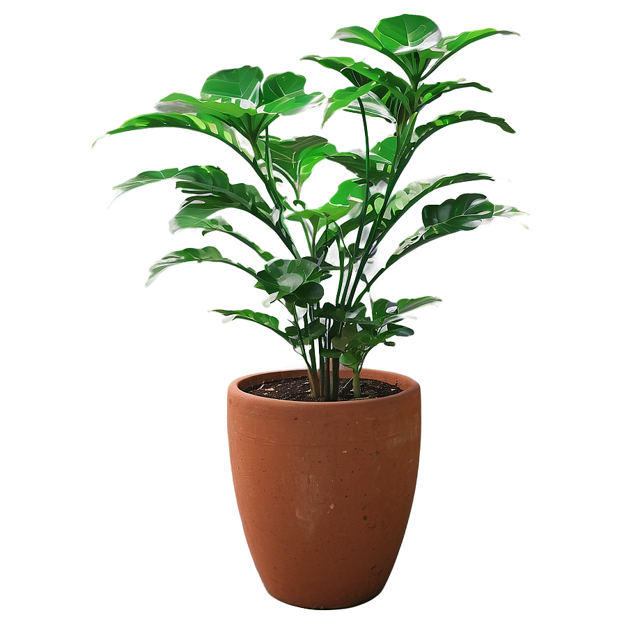 Tall Plant In Pot Png 42