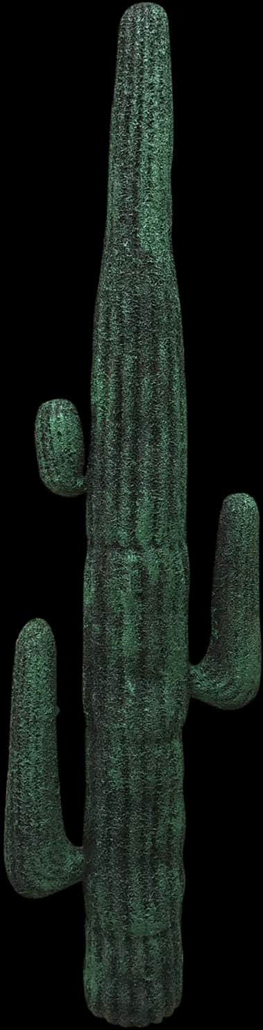 Tall Saguaro Cactus Black Background