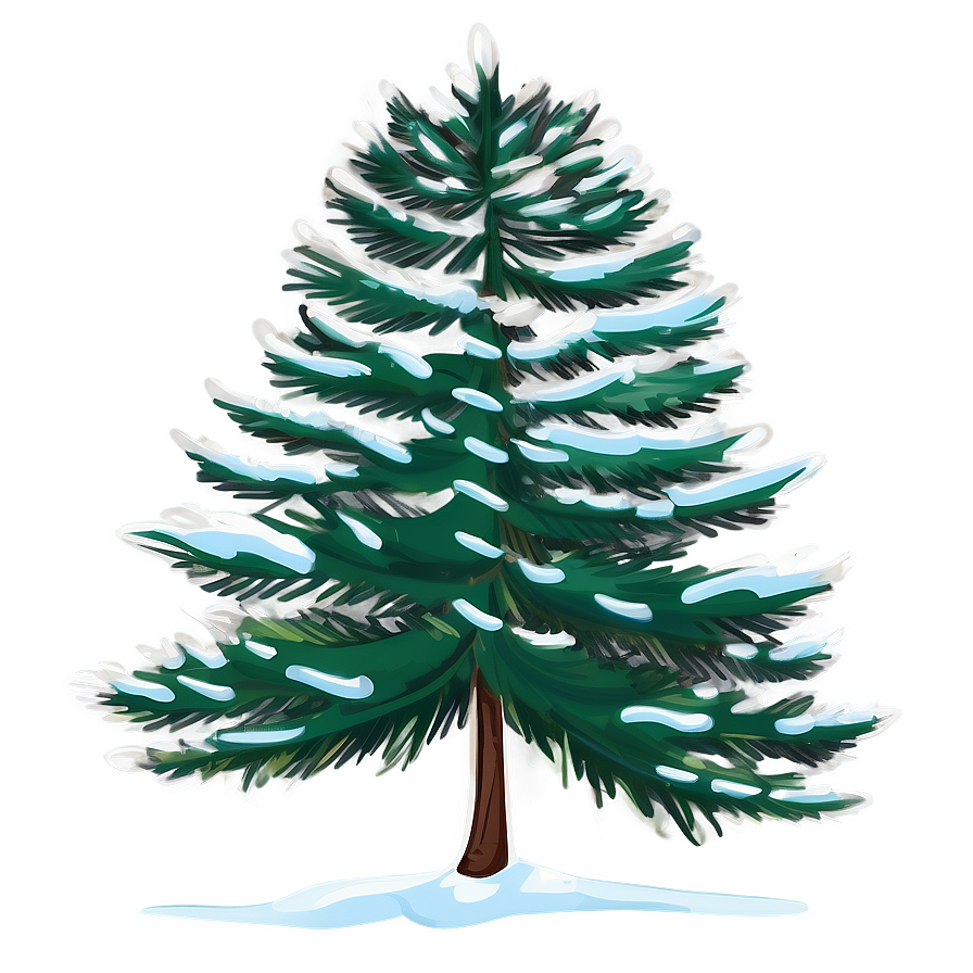 Tall Spruce Tree Illustration Png 06132024