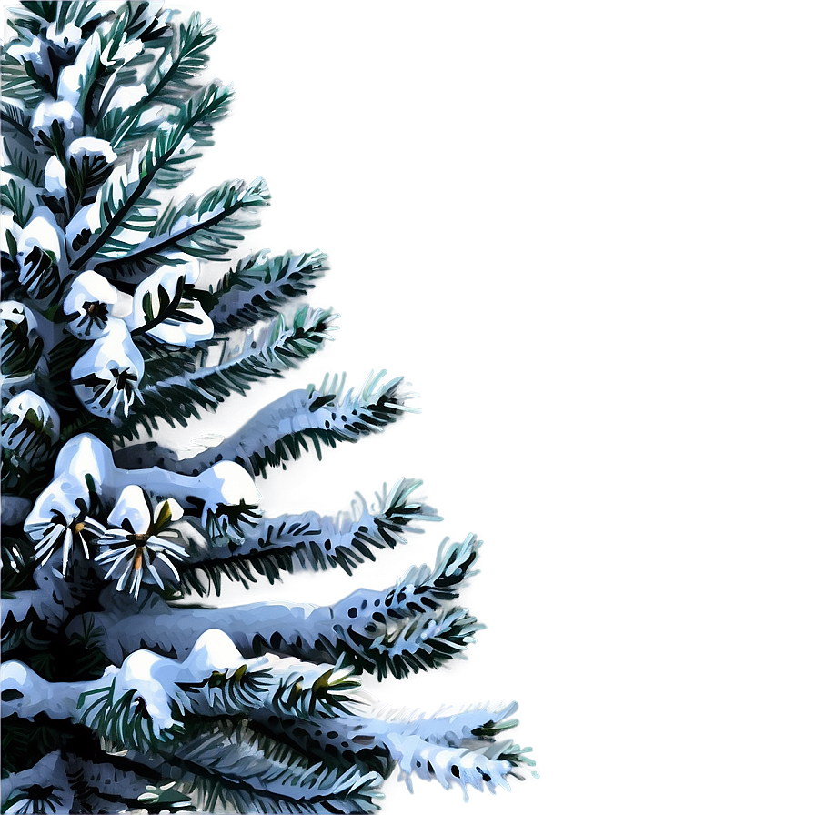 Tall Spruce Tree Illustration Png Rdt88