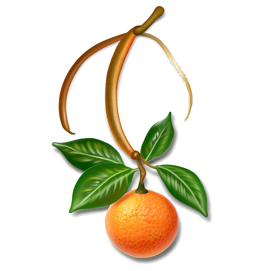 Tangerine Artistic Png Bvj86