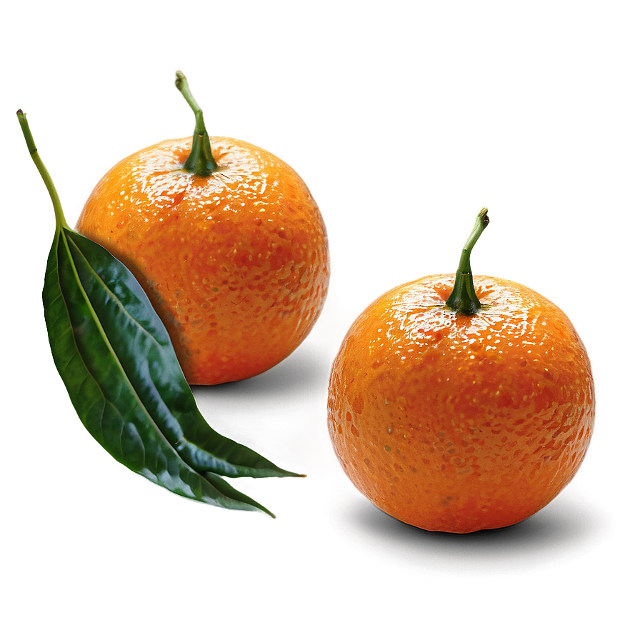 Tangerine Orange Png 8