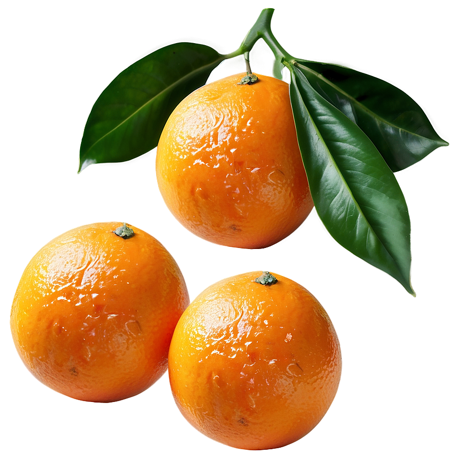 Tangerine Oranges Png 06112024