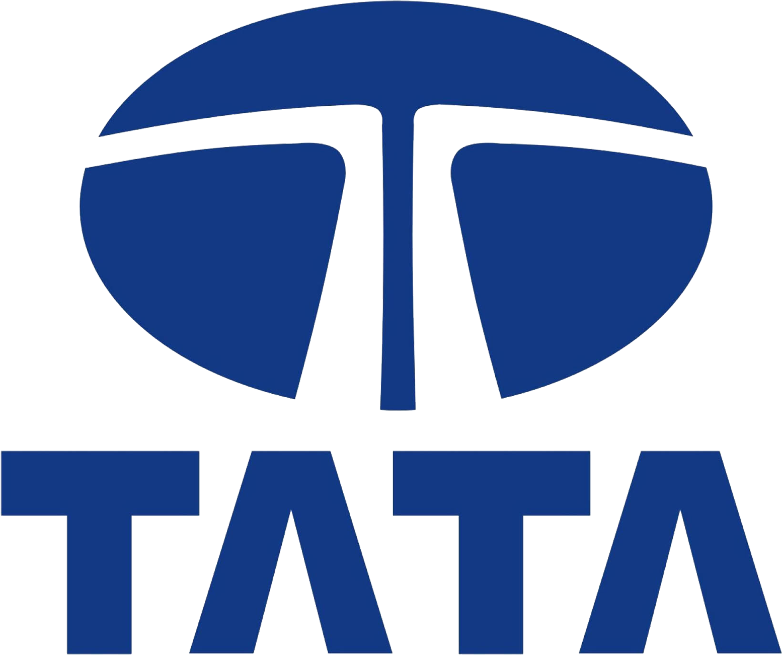 Tata Group Logo Blue Background