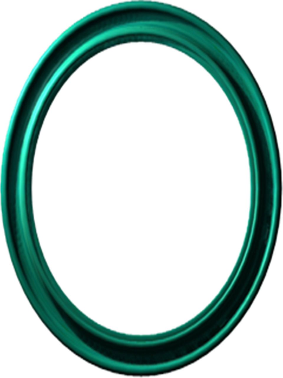 Teal Circular Frame Bathroom Decor