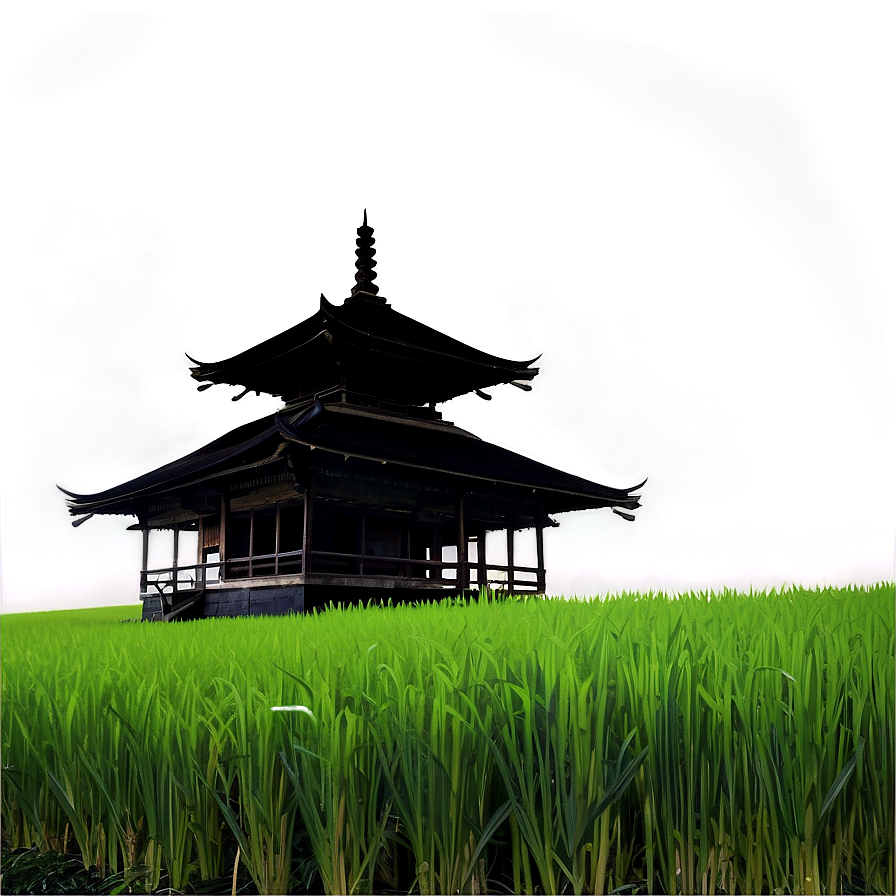 Temple Amidst Green Rice Fields Png 84