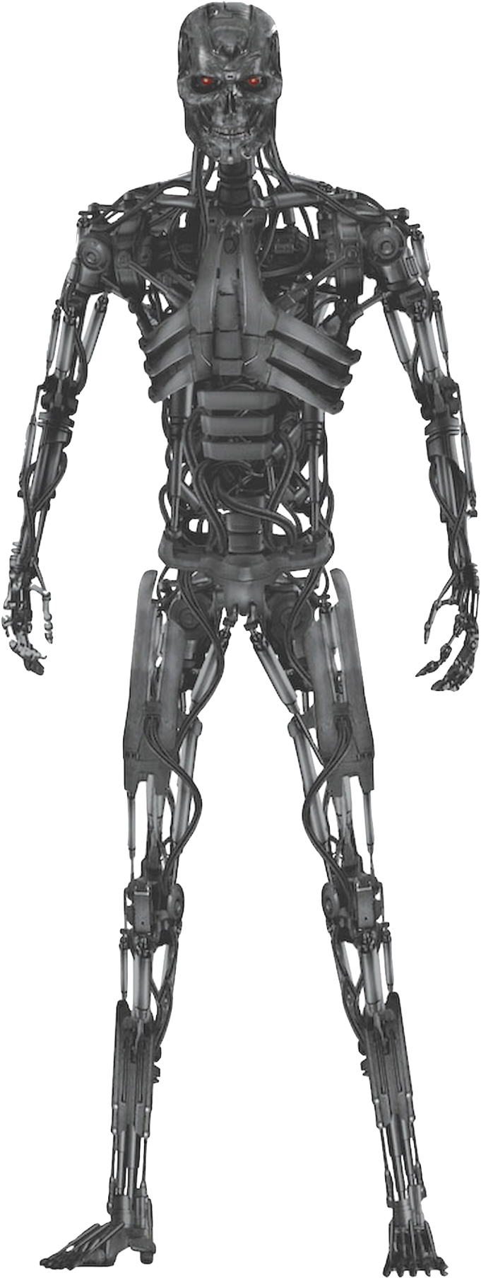 Terminator Endoskeleton Standing Pose