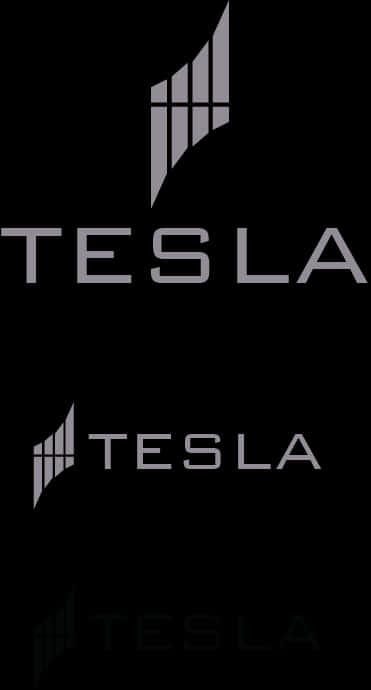 Tesla Logo Variations