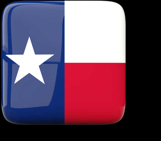 Texas State Flag Icon