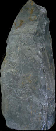 Textured Stone Specimen