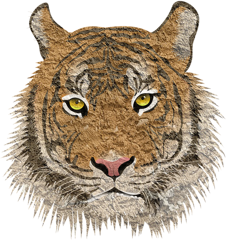 Textured Tiger Face Illustration