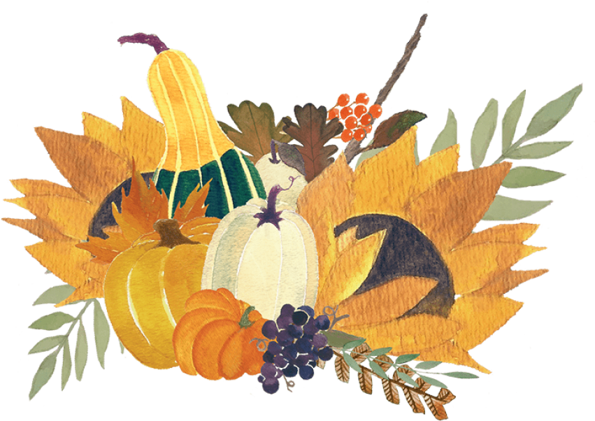 Thanksgiving Harvest Cornucopia Illustration