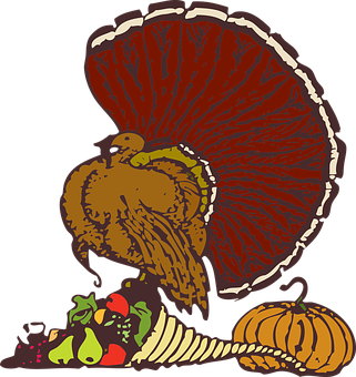 Thanksgiving Turkey Illustration