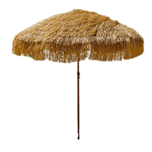 Thatched Beach Umbrella