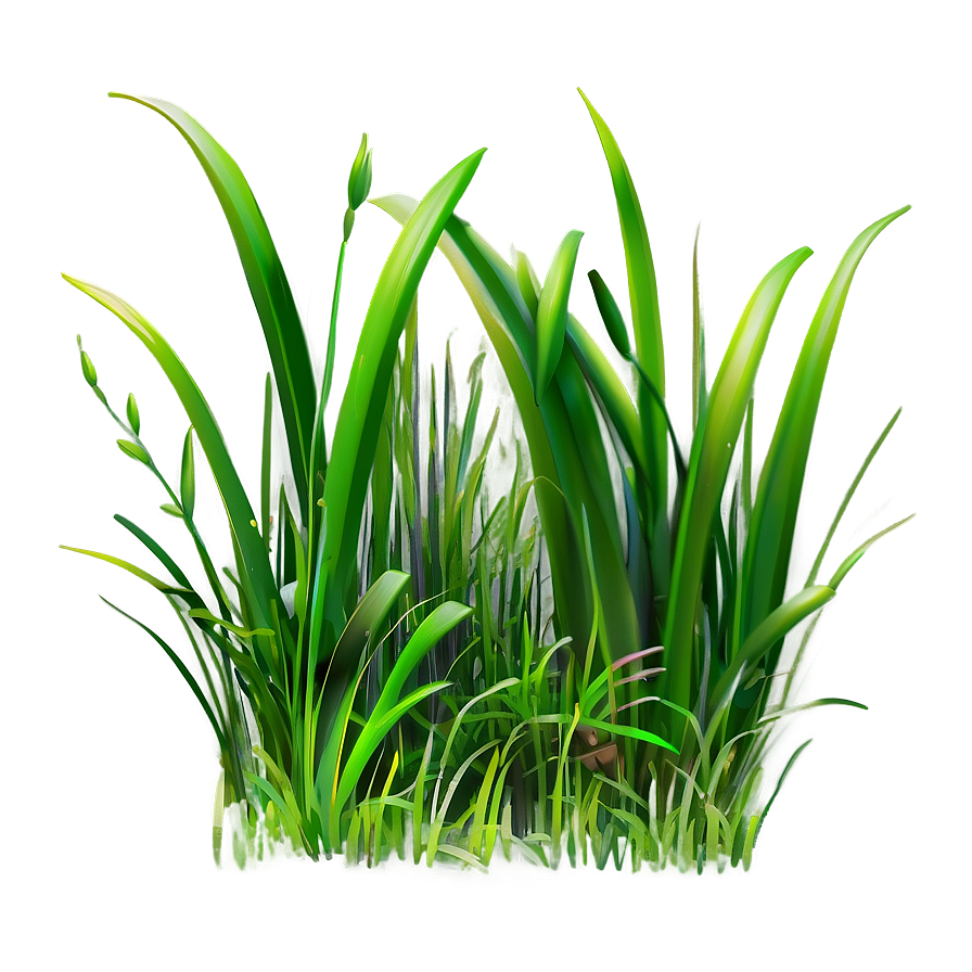 Thick Cartoon Grass Png 06122024