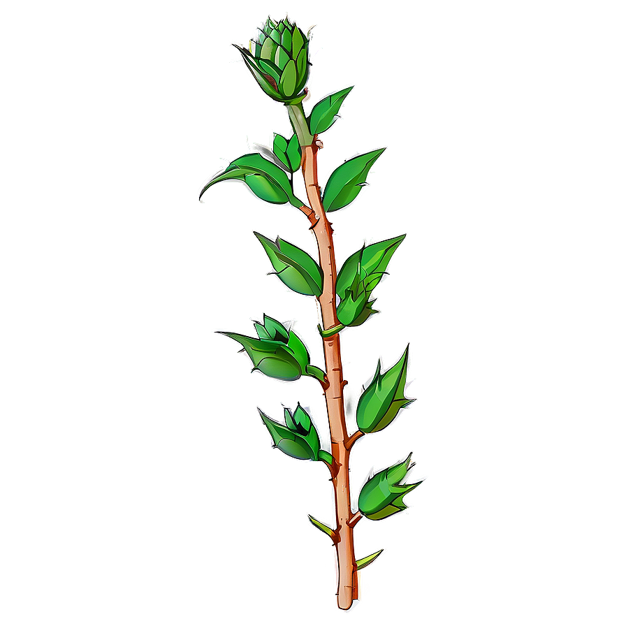 Thorny Plant Png 42