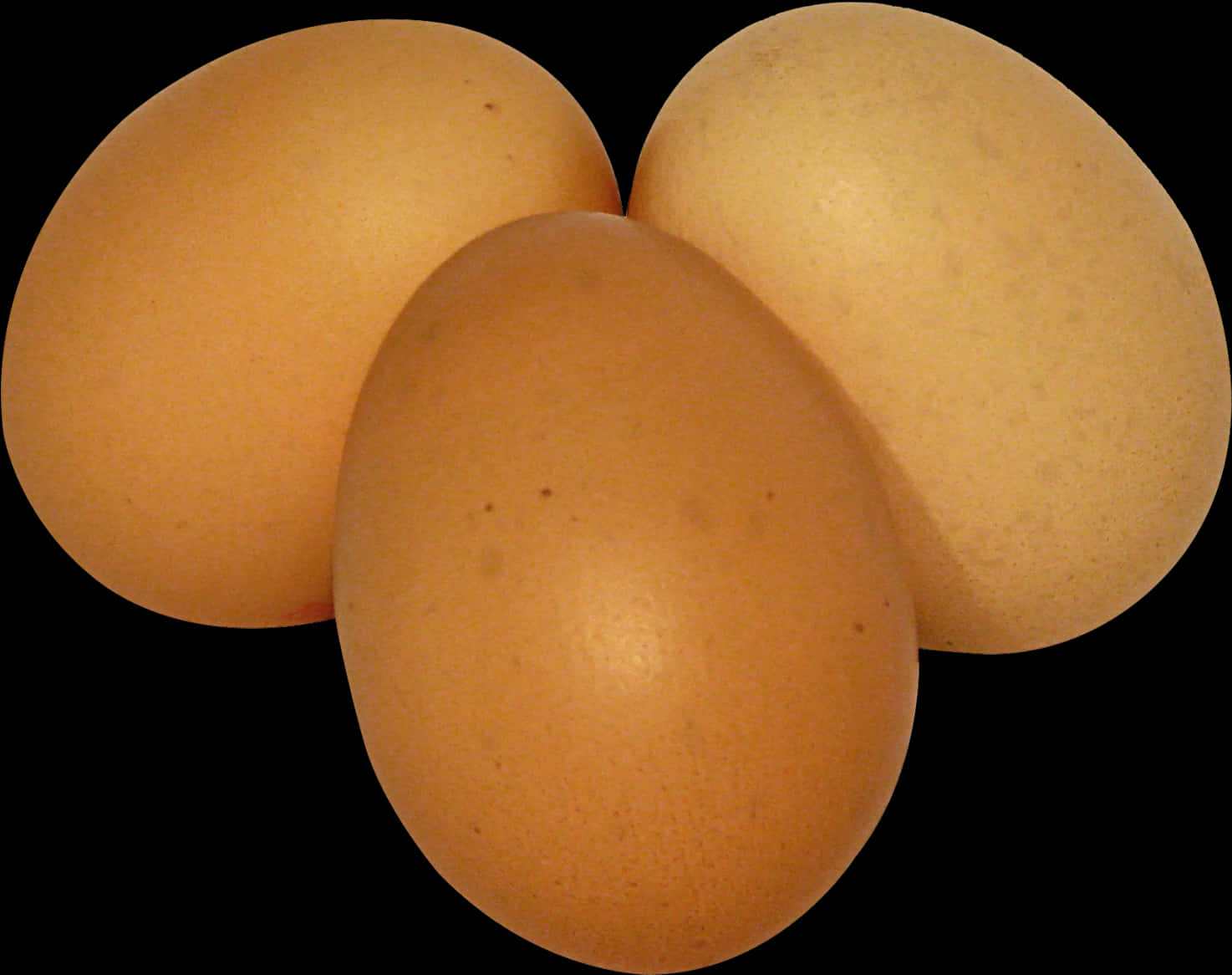 Three Brown Eggson Black Background