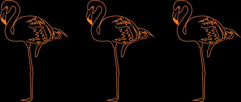 Three Flamingos Orange Silhouette