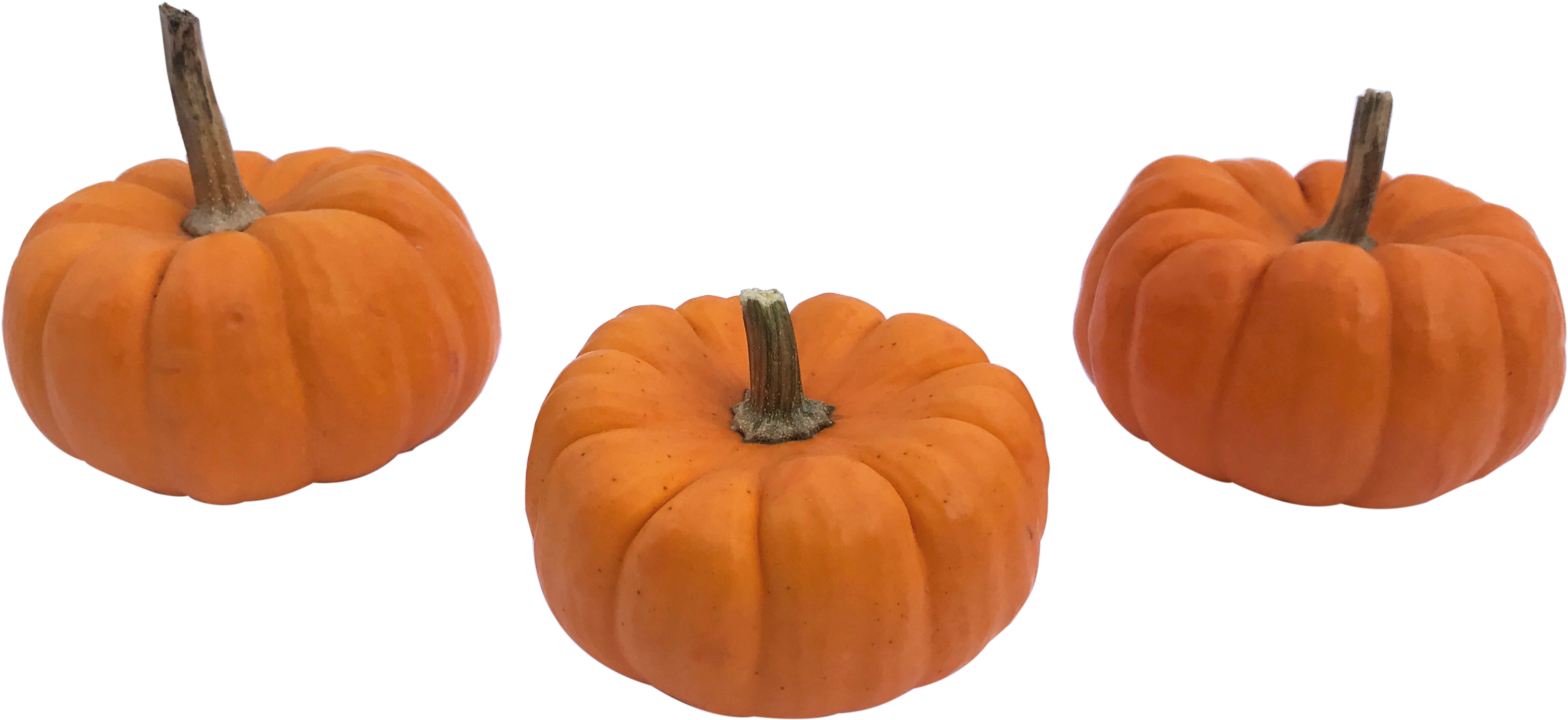 Three Orange Pumpkins Transparent Background