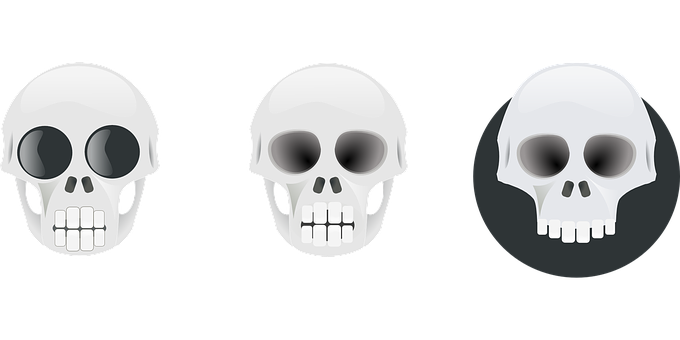 Three Skull Graphic Variations