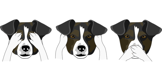 Three Wise Dogs Illustration