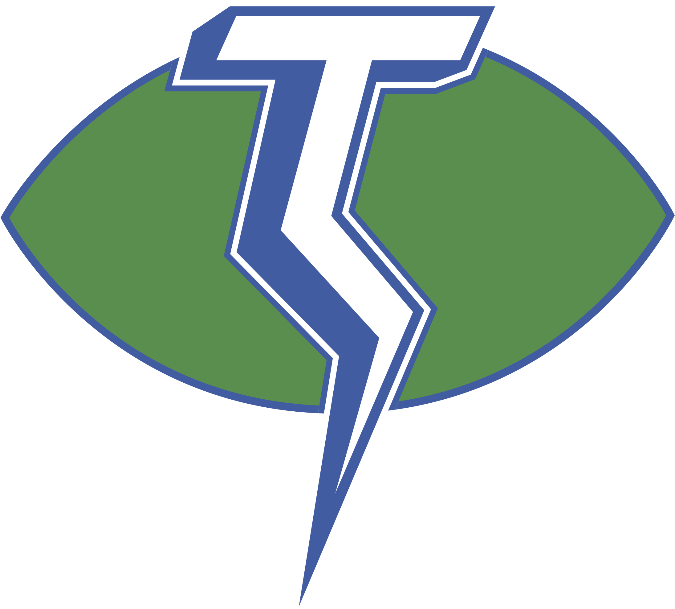 Thunderbolt_ Logo_ Vector