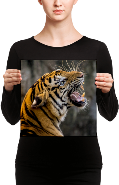 Tiger Portraiton Canvas