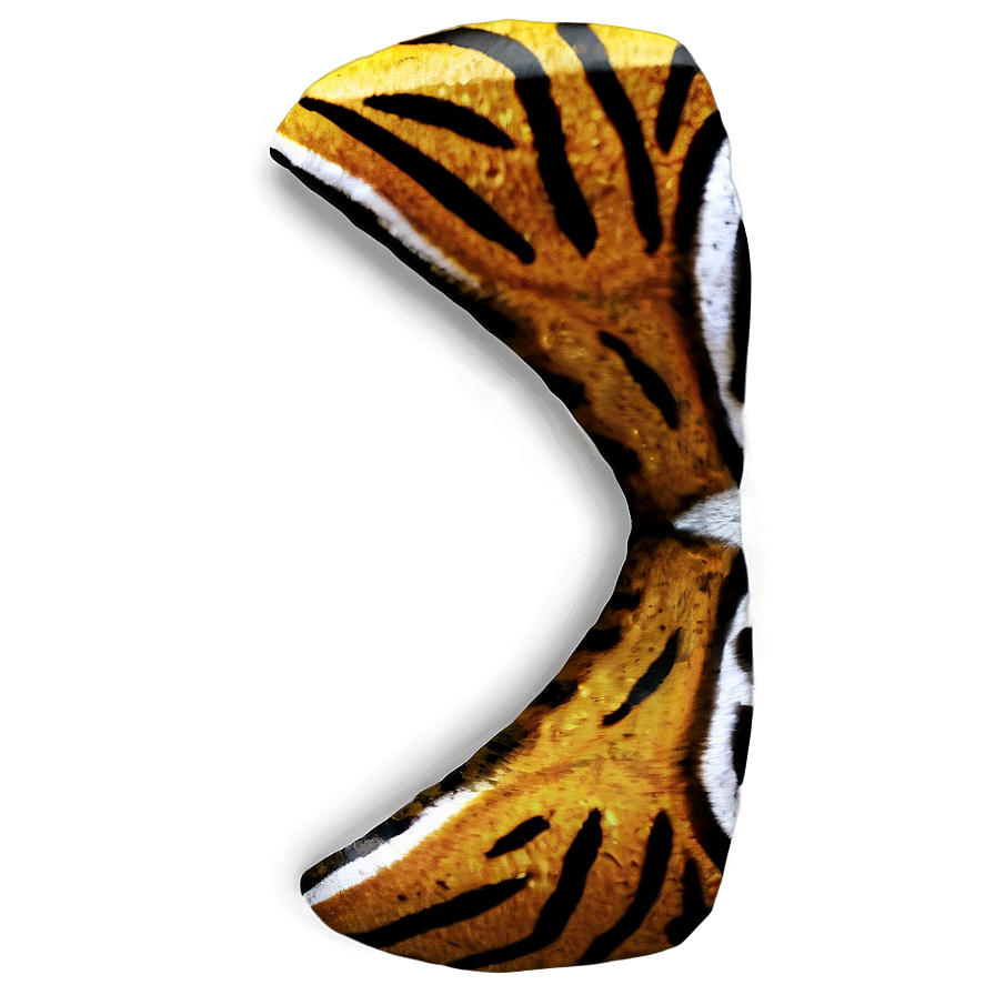 Tiger Print Png 06252024