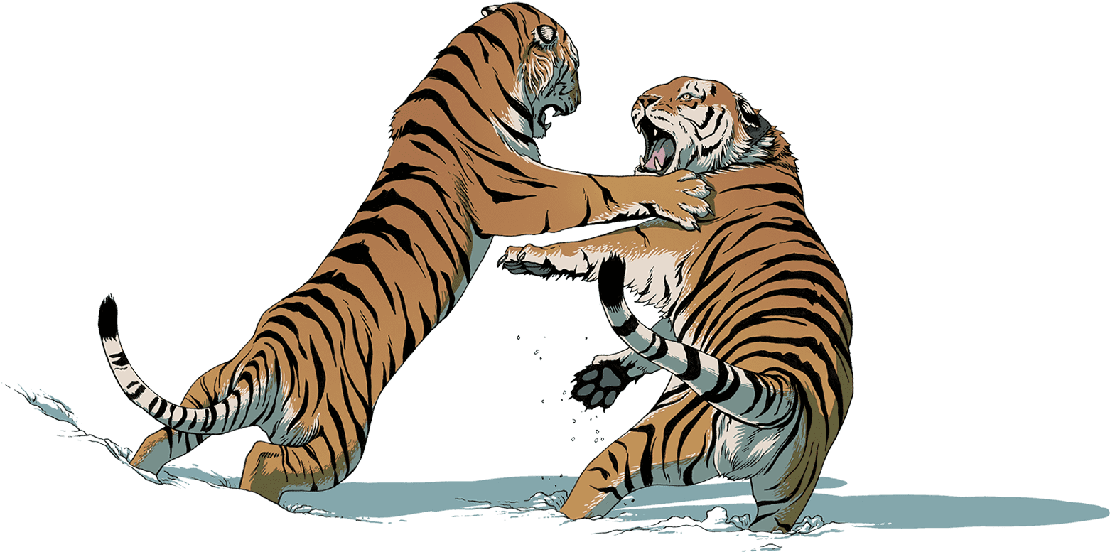 Tigers_ In_ Conflict.png