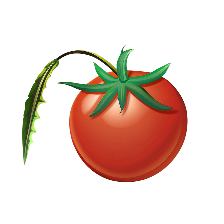 Tomato Cartoon Png Yln