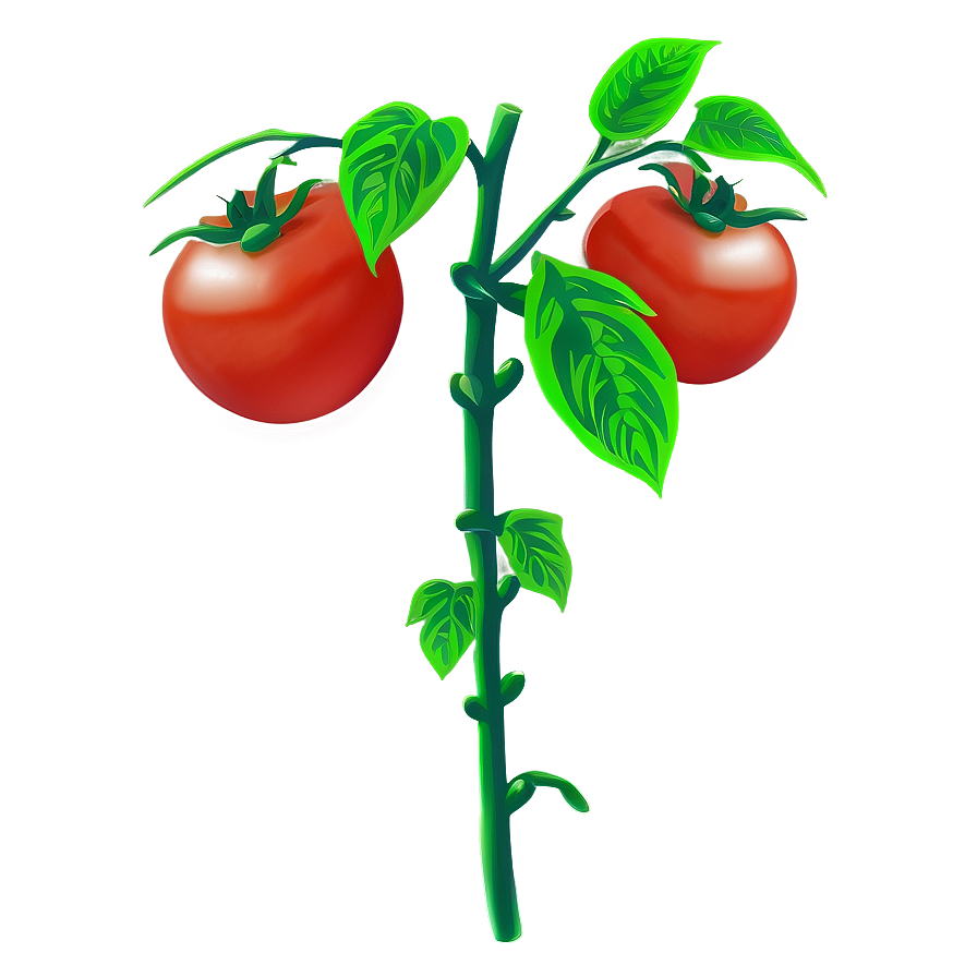 Tomato Plant Flower Png Hln80