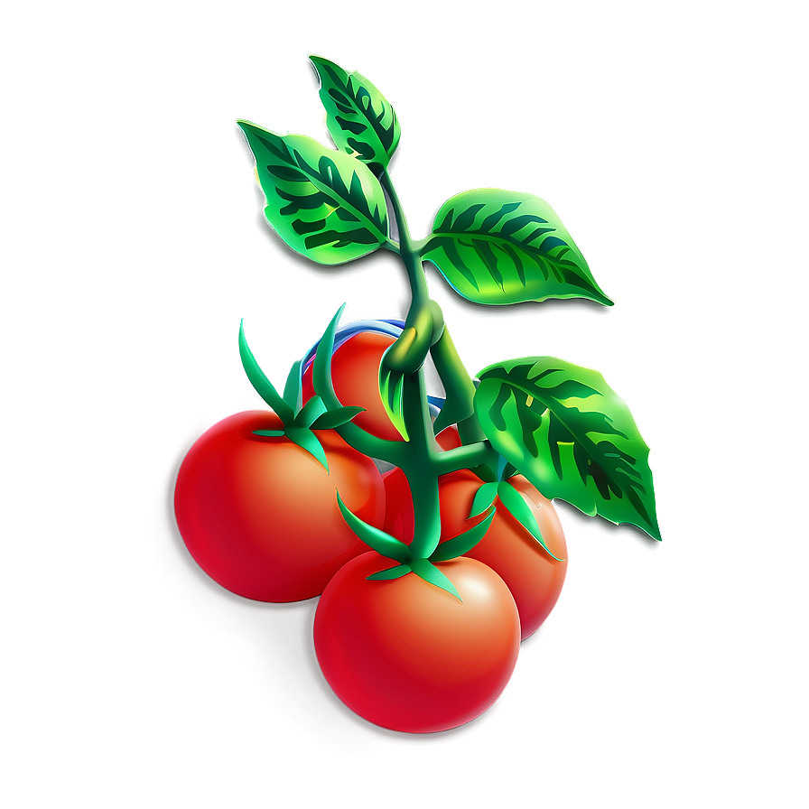 Tomato Plant With Tomatoes Png Vmo