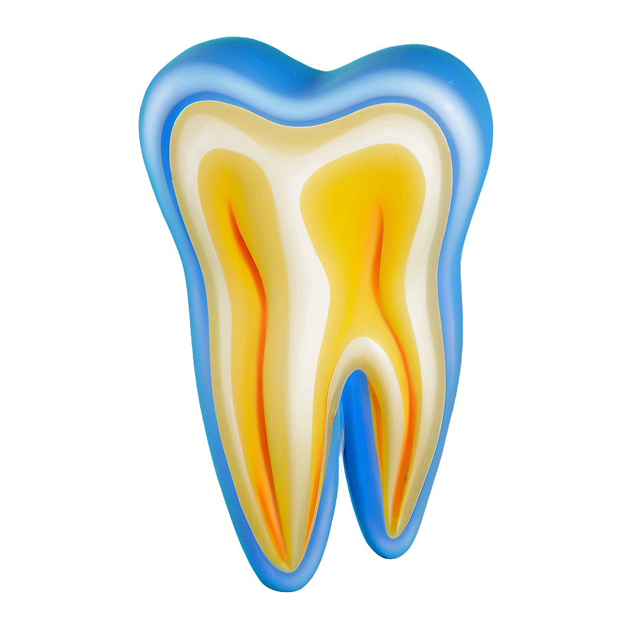 Tooth Model Png 05242024