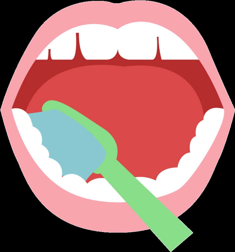 Toothbrushing Oral Care Illustration