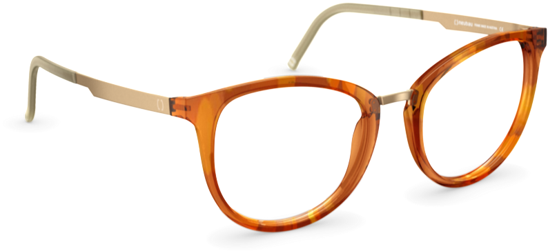 Tortoiseshell Eyeglasses Transparent Background