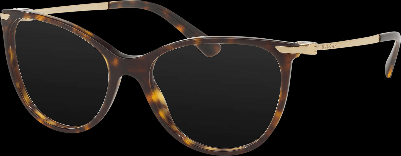 Tortoiseshell Round Glasses